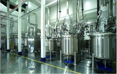探訪蜂巢能源工廠 揭秘短刀電池生產三大秘籍